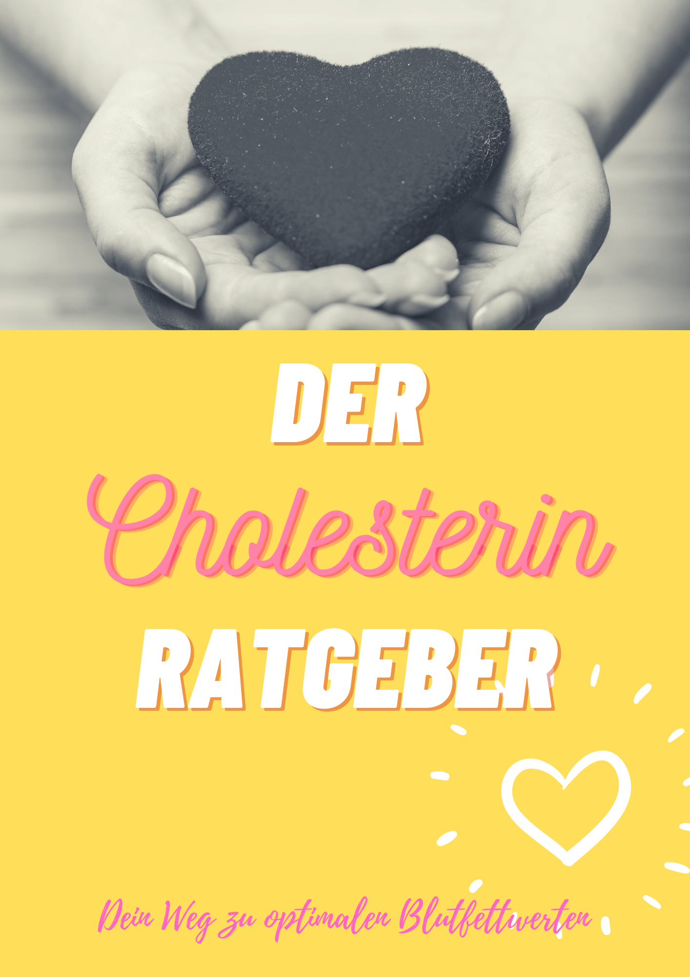 E-Book- Der Cholesterin Ratgeber