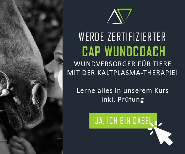 Werde zert. Wundcoach mit der Kaltplasma Therapie