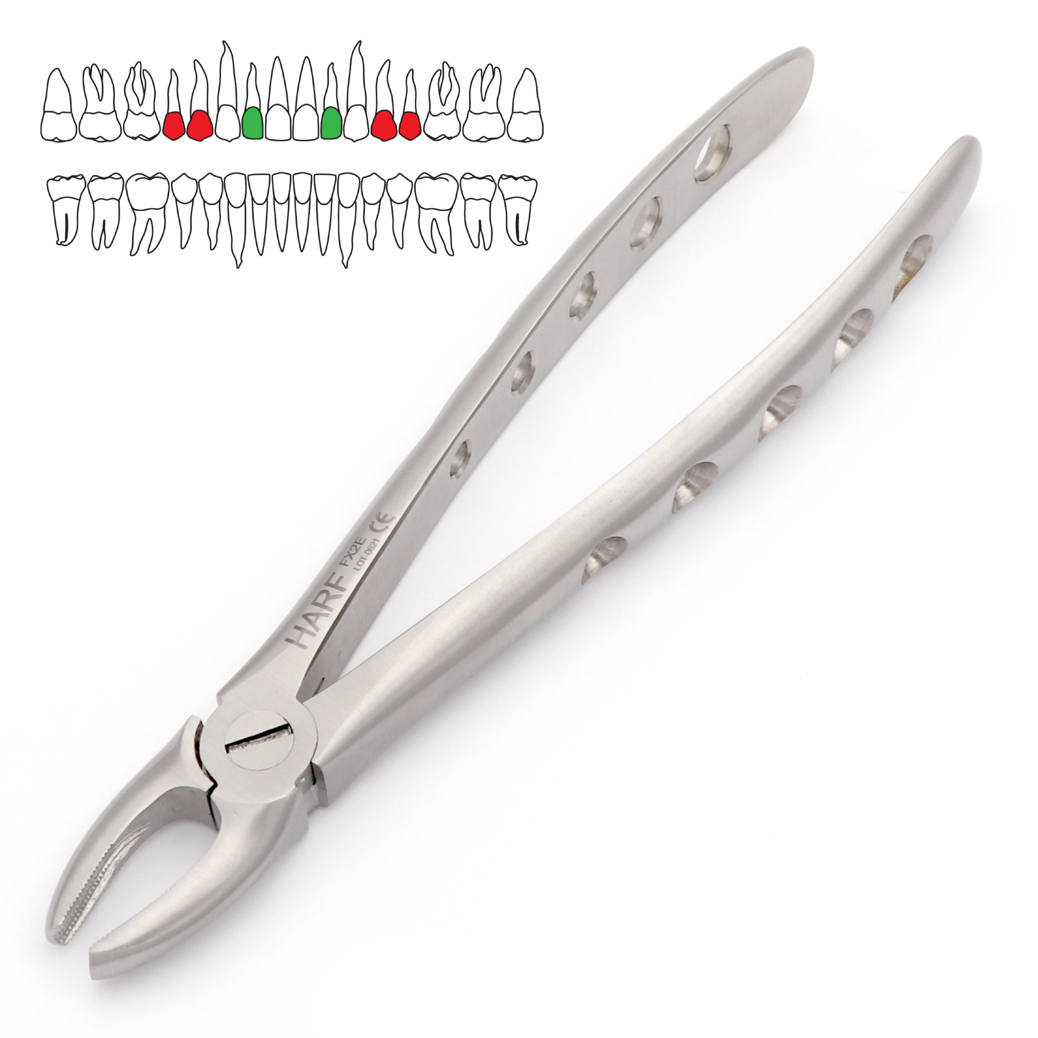 2 Extraction Forceps HARFINS