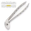 4 Extraction Forceps Lower Incisors and Cuspids