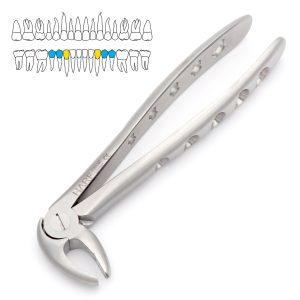 13 Extraction Forceps Lower Premolars and Canines