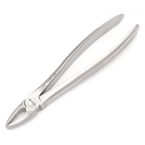 2 Extraction Forcep