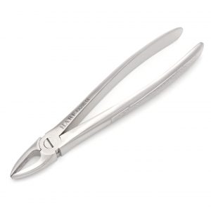 29 Extraction Forcep