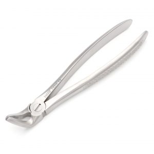 31 Extraction Forcep