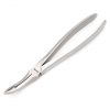 49 Extraction Forcep