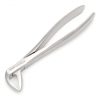 74N Extraction Forcep