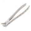 23 Extraction Forcep