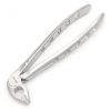 13 Extraction Forcep GL 01