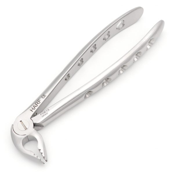 13 Extraction Forcep GL 01