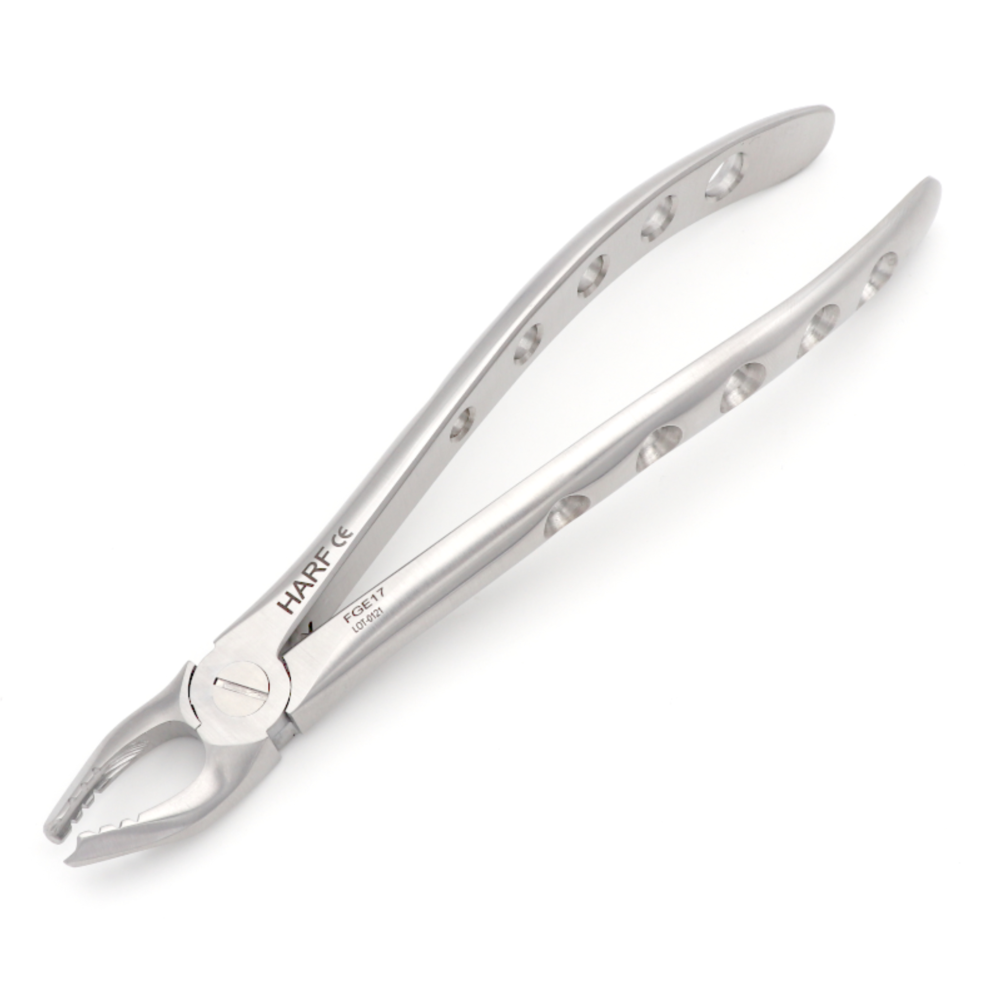 17 Extraction Forcep GL 01