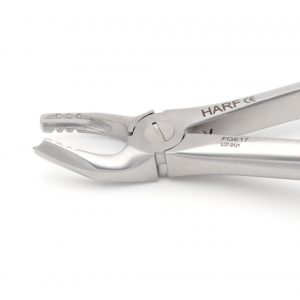17 Extraction Forcep GL 02