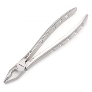 34N Extraction Forcep GL 01