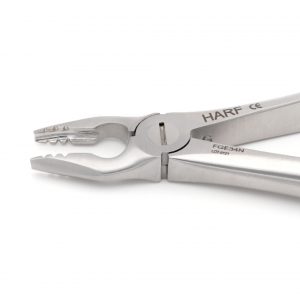 34N Extraction Forcep GL 02