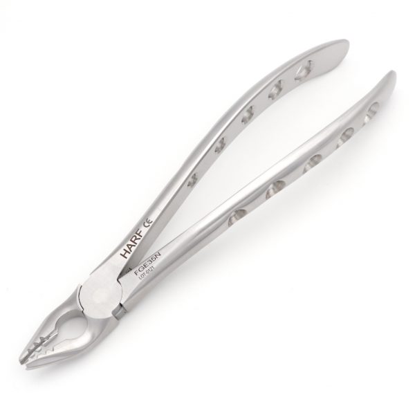 35N Extraction Forcep GL 01