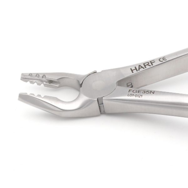 35N Extraction Forcep GL 02