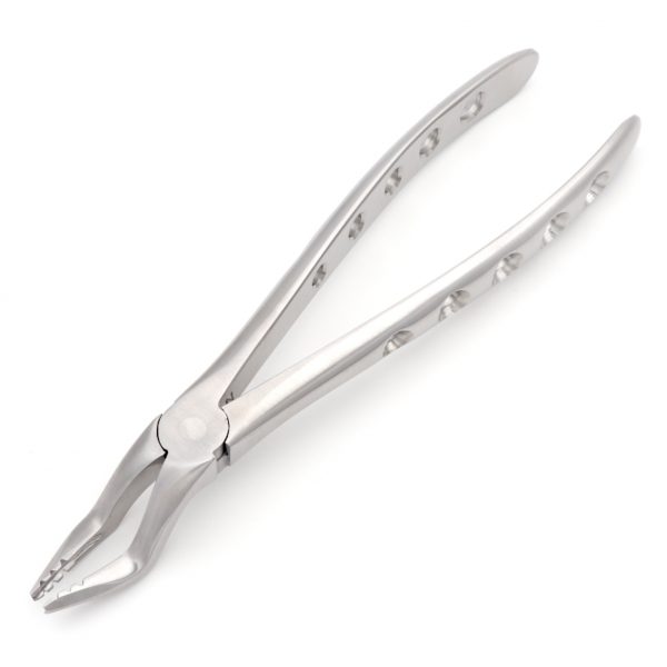 51 Extracton Forcep GL 01