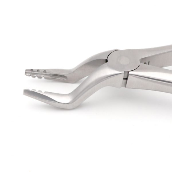 51 Extracton Forcep GL 02