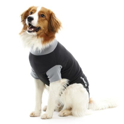 Buster Body Suit EasyGo 41cm Small - Sort Grå