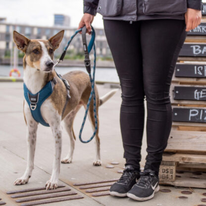 Dog Copenhagen Urban Rope Line 8mm x 160cm Small - Sort - Image 7