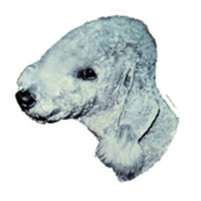 Dekal Bedlington terrier 017 hoved Medium 2 stk