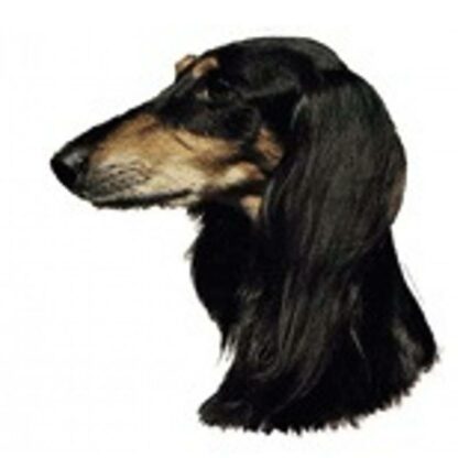 Dekal Saluki 040 Hoved Medium 2 stk