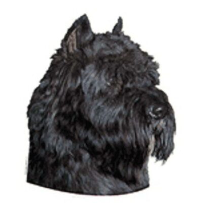 Dekal Bouvier des Flandres 142 hoved Medium 2 stk - Sort