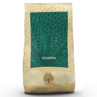 Essential Foods Stamina 10kg