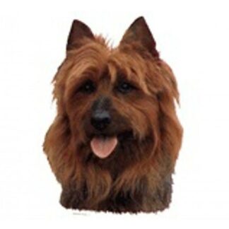 OPHØRSUDSALG - Dekal Australsk terrier 179 hoved Medium 2 stk
