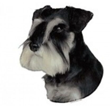 Dekal Schnauzer 229 Dværg Hoved Medium 2 stk