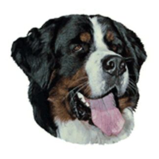 OPHØRSUDSALG - Dekal Berner Sennenhund 010 hoved Small 4 stk