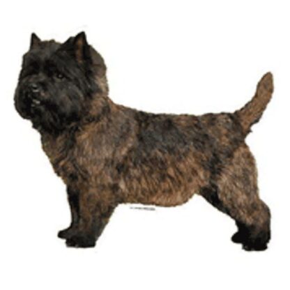 Dekal Cairn Terrier 024 Small 4 stk