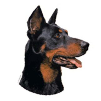 OPHØRSUDSALG - Dekal Beauceron 064 hoved Small 4 stk