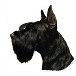 OPHØRSUDSALG - Dekal Riesenschnauzer Kuperet 077 Hoved Small 4 stk
