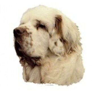 OPHØRSUDSALG - Dekal Clumber Spaniel 078 Hoved Small 4 stk