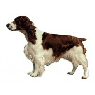 OPHØRSUDSALG - Dekal Welsh Springer Spaniel 079 Small 4 stk