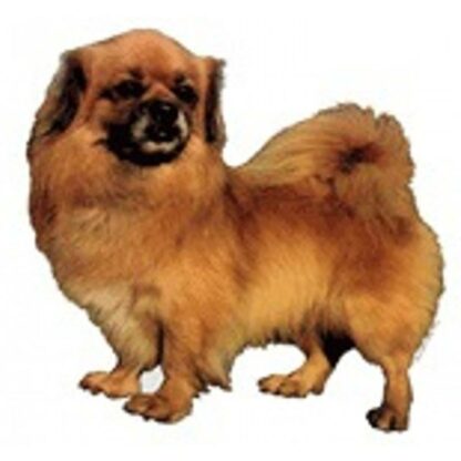 Dekal Tibetansk Spaniel 096 Small 4 stk