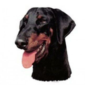 OPHØRSUDSALG - Dekal Dobermann 099 Hoved Small 4 stk - Sort