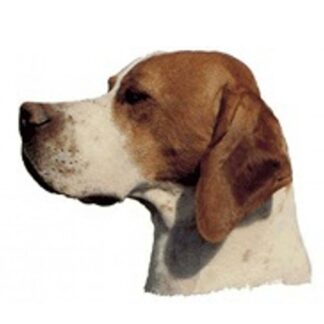 OPHØRSUDSALG - Dekal Pointer 106 Hoved Small 4 stk