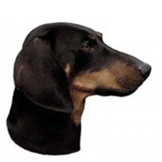 OPHØRSUDSALG - Dekal Gravhund 107 Korthåret Hoved Small 4 stk