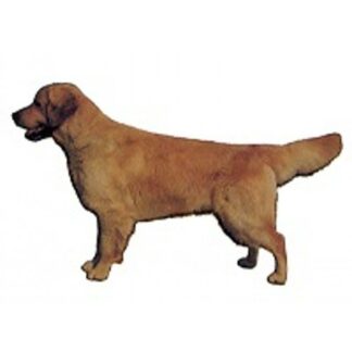 OPHØRSUDSALG - Dekal Golden Retriever 108 Small 4 stk