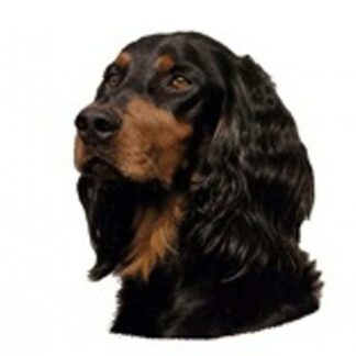 OPHØRSUDSALG - Dekal Gordon Setter 110 Hoved Small 4 stk