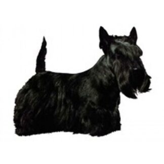 Dekal Skotsk Terrier 127 4 - hund - Shop