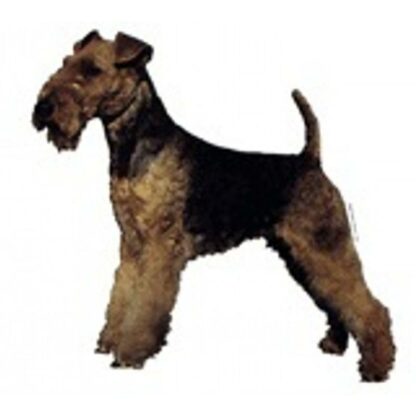 Dekal Welsh Terrier 140 Small 4 stk