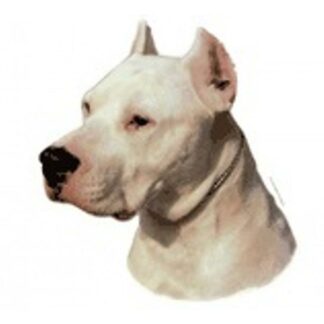 belønning løg implicitte Dekal Dogo Argentino 227 hoved Smal 4 stk - Hund - Nalas Shop