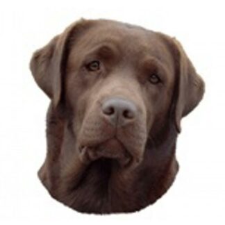 OPHØRSUDSALG - Dekal Labrador 243 Hoved Small 4 stk - Brun