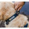 Ruffwear Front Range Halsbånd 20mm x 28-36cm Small - Grå - Image 13