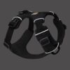 Ruffwear Front Range Sele 33-43cm XX-Small - Grå - Image 7
