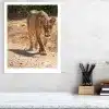 photo print mockup