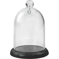 Pocket clock bell, plastic plinth and plexiglass bell