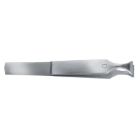 Regine hairspring cutter